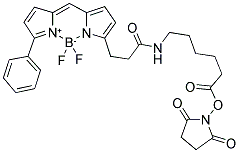 6-((4,4-DIFLUORO-5-PHENYL-4-BORA-3A,4A-DIAZA-S-INDACENE-3-PROPIONYL)AMINO) HEXANOIC ACID, SUCCINIMIDYL ESTER Struktur