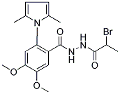 N'-(2-BROMOPROPANOYL)-2-(2,5-DIMETHYL-1H-PYRROL-1-YL)-4,5-DIMETHOXYBENZOHYDRAZIDE Struktur