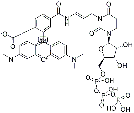 CHROMATIDE(TM) TETRAMETHYLRHODAMINE-5-UTP Struktur