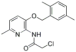 2-CHLORO-N-(3-[(2,5-DIMETHYLBENZYL)OXY]-6-METHYLPYRIDIN-2-YL)ACETAMIDE Struktur