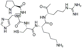 PRO-HIS-CYS-LYS-ARG-MET Struktur