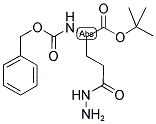 Z-GLU(NHNH2)-OTBU Struktur