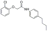 AURORA 791 Struktur