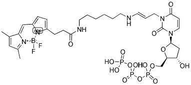 BODIPY(R) FL-14-DUTP Struktur