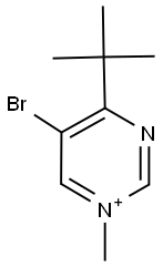 5-BROMO-4-TERT-BUTYL-1-METHYLPYRIMIDIN-1-IUM Struktur