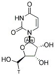 URIDINE, [5'-3H]- Struktur