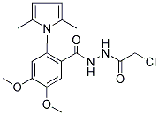 N'-(2-CHLOROACETYL)-2-(2,5-DIMETHYL-1H-PYRROL-1-YL)-4,5-DIMETHOXYBENZOHYDRAZIDE Struktur