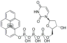 PYRENE-8-DUTP Struktur