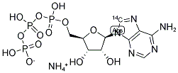 [8-14C]ADENOSINE 5'-TRIPHOSPHATE, AMMONIUM SALT Struktur