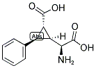 PCCG-4 Struktur