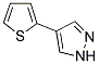 4-THIEN-2-YL-1H-PYRAZOLE Struktur