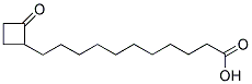 11-(2'-OXOCYCLOBUTYL)-UNDECANOIC ACID Struktur