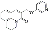 2,3-DIHYDRO-6-[(PYRIDIN-3-YL)OXYMETHYL]-(1H,5H)-BENZO[IJ]QUINOLIZIN-5-ONE Struktur