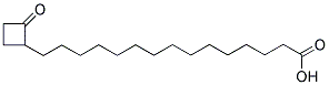 15-(2'-OXOCYCLOBUTYL)-PENTADECANOIC ACID Struktur