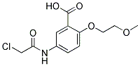 5-[(2-CHLOROACETYL)AMINO]-2-(2-METHOXYETHOXY)BENZOIC ACID Struktur