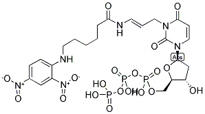 DNP-11-DUTP Struktur