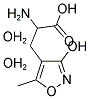 (+/-)-ALPHA-AMINO-3-HYDROXY-5-METHYL-ISOXAZOLE-4-PROPIONIC ACID DIHYDRATE Struktur