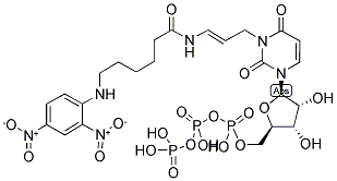 DNP-11-UTP Struktur