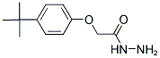 (4-TERT-BUTYL-PHENOXY)-ACETIC ACID HYDRAZIDE Struktur