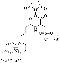 N-(1-PYRENEBUTANOYL)CYSTEIC ACID, SUCCINIMIDYL ESTER, SODIUM SALT Struktur