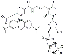 CHROMATIDE(TM) TETRAMETHYLRHODAMINE-5-DUTP Struktur