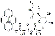 PYRENE-8-UTP Struktur