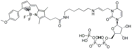 BODIPY(R) TMR-14-UTP Struktur