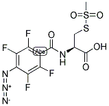 4-AZIDO-2,3,5,6-TETRAFLUOROBENZAMIDOCYSTEINE METHANETHIOSULFONATE Struktur