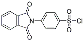 4-(N-PHTHALIMIDINYL)BENZOLSULFONYL CHLORIDE Struktur