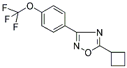 5-CYCLOBUTYL-3-[4-(TRIFLUOROMETHOXY)PHENYL]-1,2,4-OXADIAZOLE Struktur