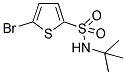 5-BROMOTHIOPHENE-2-N-T-BUTYLSULFONAMIDE Struktur