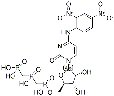 DNP-N4-CTP Struktur