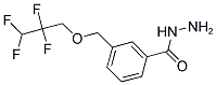 3-(2,2,3,3-TETRAFLUORO-PROPOXYMETHYL)-BENZOIC ACID HYDRAZIDE Struktur