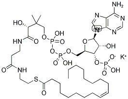 OLEOYL COENZYME A, K SALT Struktur