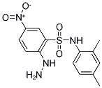 N-(2,4-DIMETHYL-PHENYL)-2-HYDRAZINO-5-NITRO-BENZENESULFONAMIDE Struktur