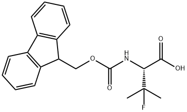 FMOC-3-FLUORO-DL-VALINE|2-({[(9H-芴-9-基)甲氧基]羰基}氨基)-3-氟-3-甲基丁酸