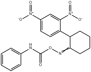 1-(3-([(ANILINOCARBONYL)OXY]IMINO)CYCLOHEXYL)-2,4-DINITROBENZENE Struktur