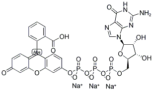 FLUORESCEIN-12-GTP Struktur