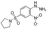 [2-NITRO-4-(PYRROLIDINE-1-SULFONYL)-PHENYL]-HYDRAZINE Struktur