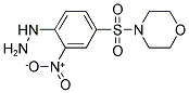 [4-(MORPHOLINE-4-SULFONYL)-2-NITRO-PHENYL]-HYDRAZINE Struktur