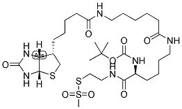 N2-T-BOC-N6-(BIOTINAMIDO-6-N-CAPROYLAMIDO)LYSINYLAMIDOETHANE METHANETHIOSULFONATE Struktur