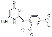 6-AMINO-2-[(2,4-DINITROPHENYL)THIO]PYRIMIDIN-4(1H)-ONE Struktur