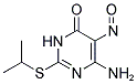 6-AMINO-2-(ISOPROPYLSULFANYL)-5-NITROSOPYRIMIDIN-4(3H)-ONE Struktur