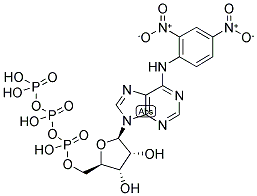 DNP-N6-ATP Struktur