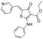 ETHYL (5Z)-2-ANILINO-4-OXO-5-(PYRIDIN-3-YLMETHYLENE)-4,5-DIHYDROTHIOPHENE-3-CARBOXYLATE Struktur