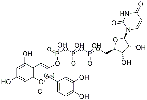 CYANINE 3-UTP Struktur