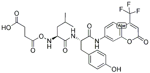 CALPAIN SUBSTRATE, SUCCINYL, FLUOROGENIC Struktur