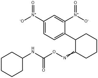 1-[2-(([(CYCLOHEXYLAMINO)CARBONYL]OXY)IMINO)CYCLOHEXYL]-2,4-DINITROBENZENE Struktur