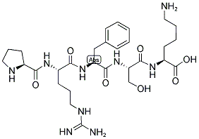 CYP1A2, RAT, C-TERMINAL PEPTIDE Struktur