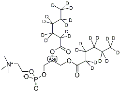 06:0 PC D22 Struktur